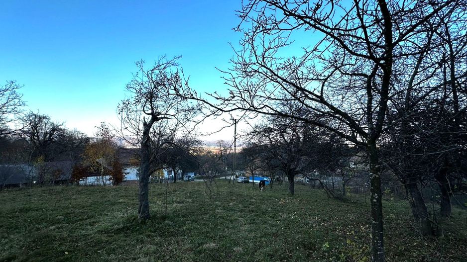 Teren Intravilan cu 2 Deschideri 4000mp Predelut-Bran | GOPO - Poză 12