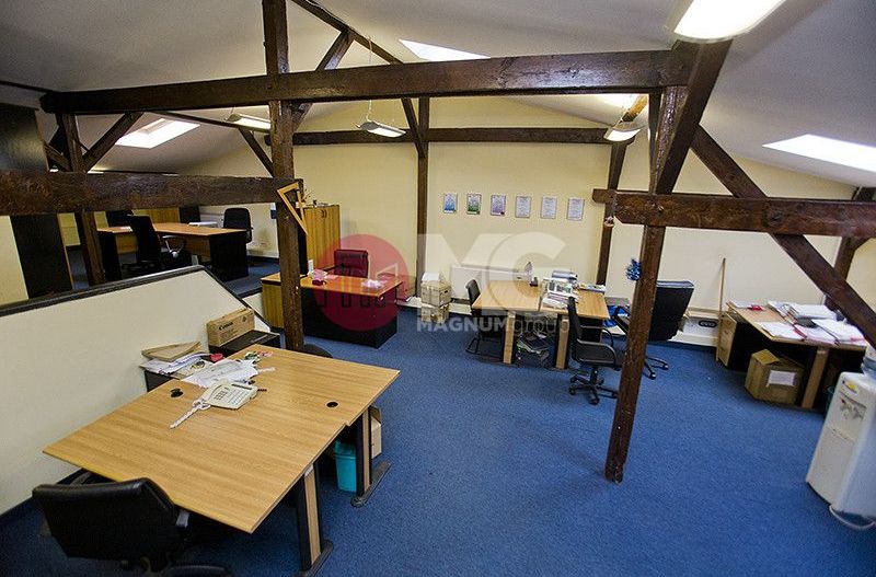 Vila exclusivista de inchiriat- pretabila Ambasada sau sediu de firma  - Poză 24