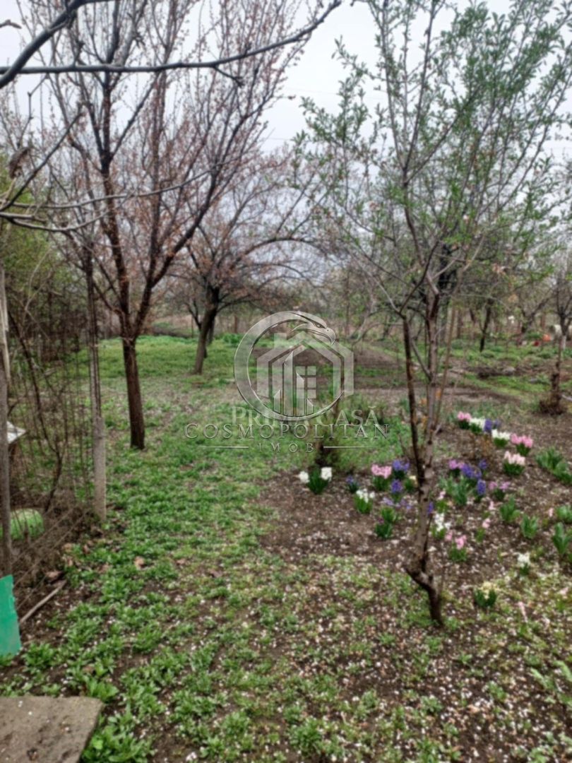 Casa zona Dorobanti teren 500mp toate utilitatile 58.000 euro - Poză 10