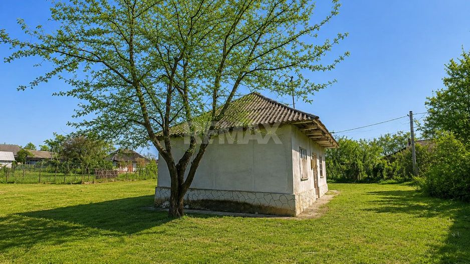 Teren 12 ari pentru casa ta lângă natură | gaz + curent | Isacova (Orhei) - Poză 18