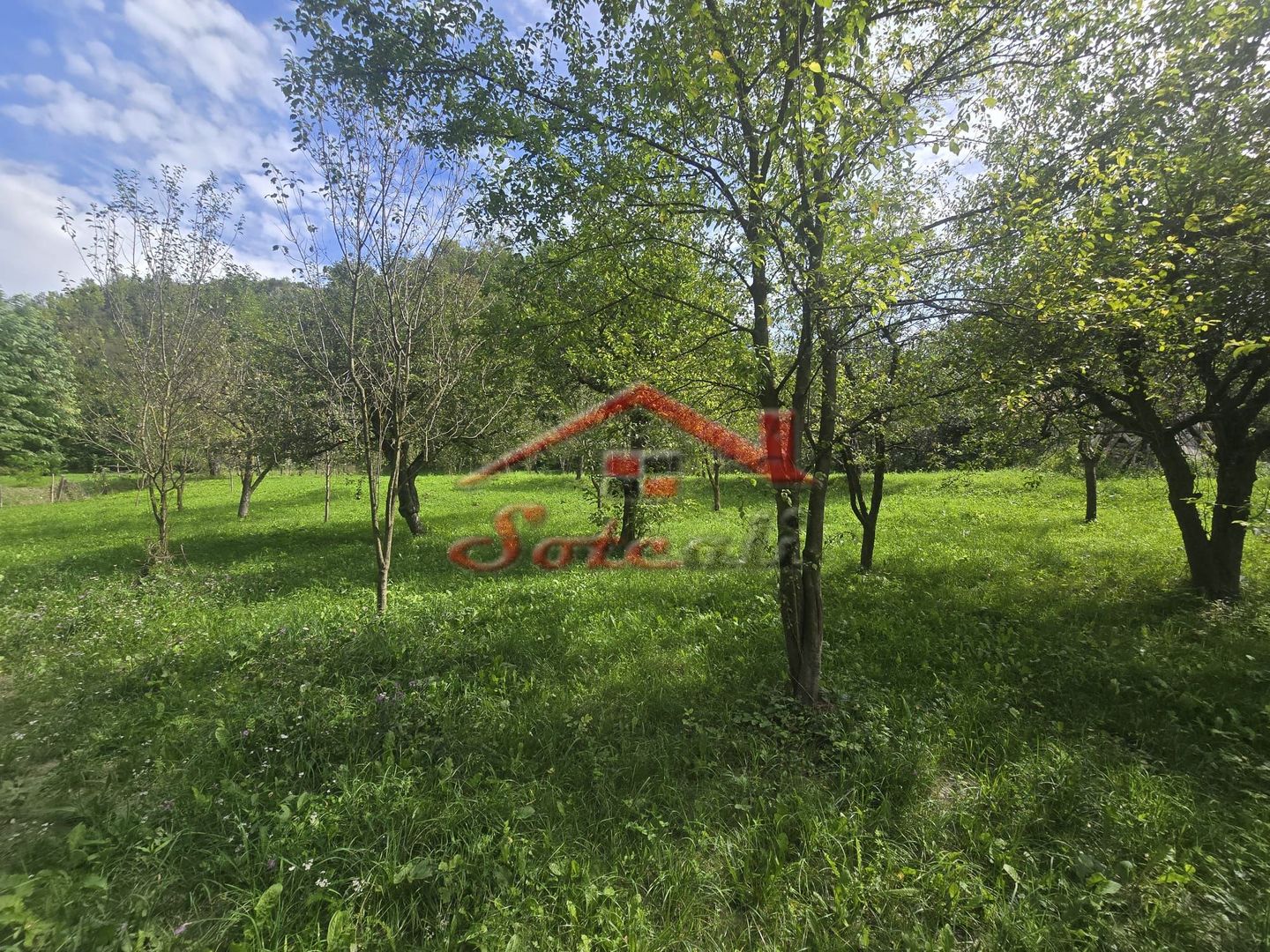 Oportunitate de investiție în Breaza – teren intravilan de 3.591 mp - Poză 12