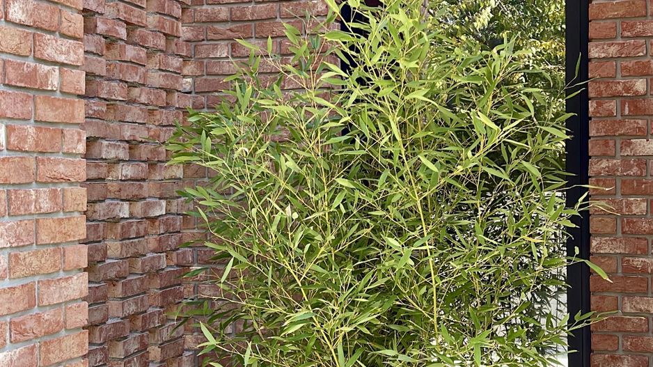 Casa Parter Exclusivista | Design Minimalist | Otopeni - Poză 22