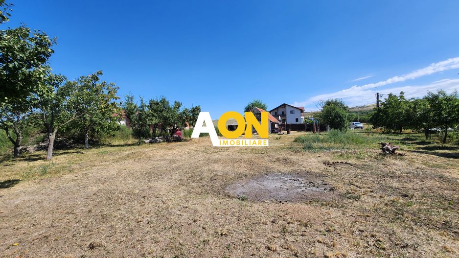 De vanzare teren 10.651mp intravilan, parcelabil, Oarda de Sus - Poză 10
