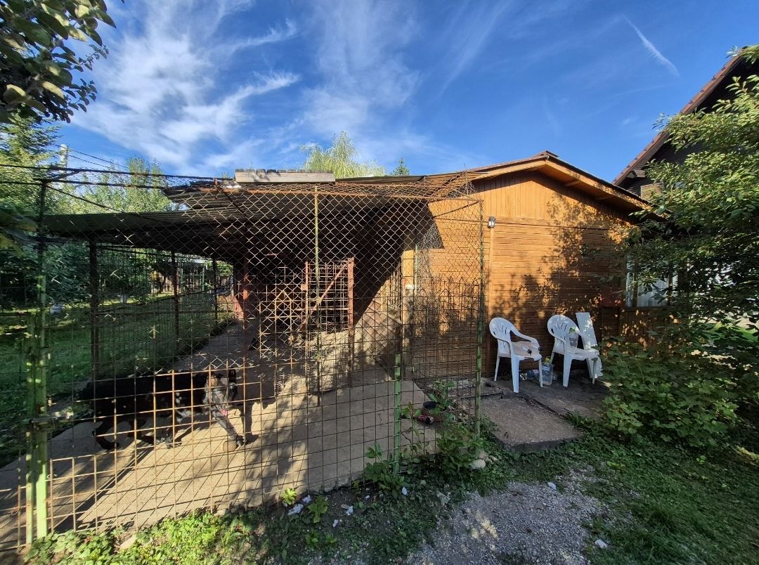 Cabana de lemn cu fundatie 86 mp+ livada pomi fructiferi+teren 847 mp - Poză 10