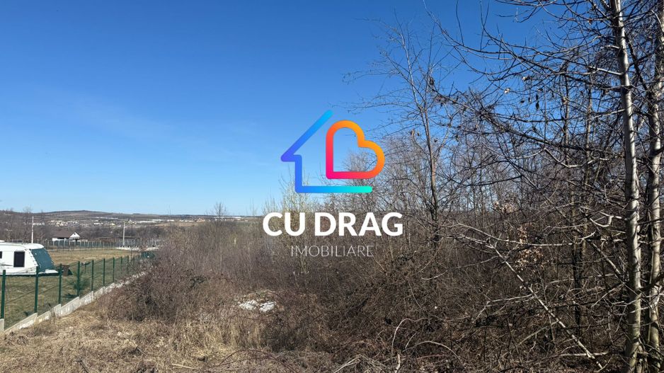 Teren intrevilan Sibiel cu toate utilitatile - Poză 4