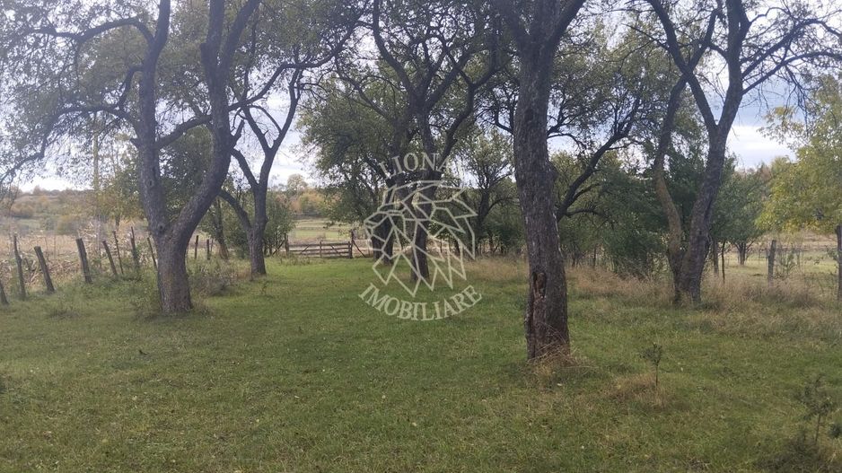 Teren intravilan 1500 mp-ideal casa-Mijlocenii Bargaului - Poză 1