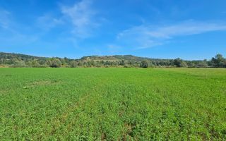 Teren 3.500 mp | Lângă canalul Oltului  | Porumbacu de Jos - Poză 2