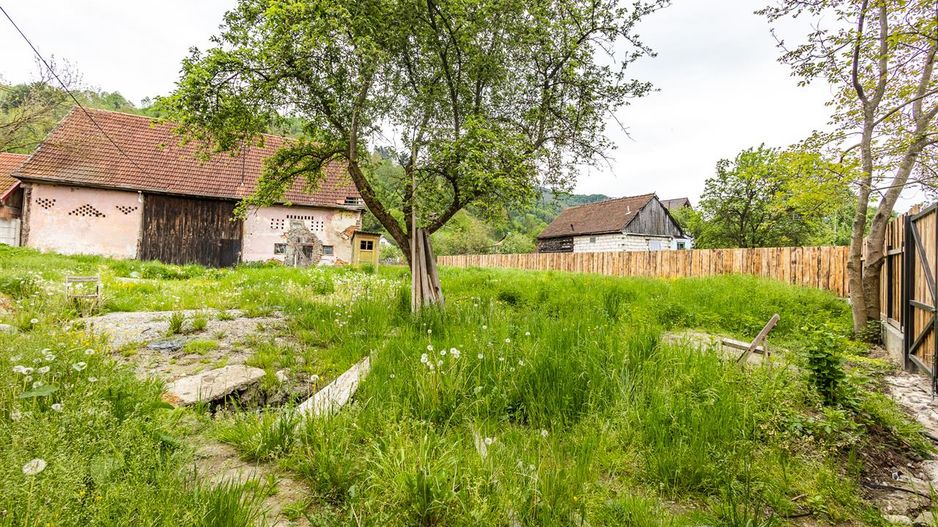 Casa traditionala + 8.500 mp teren, intravilan, Sinca Noua, Brasov - Poză 7