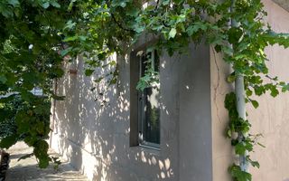 Casa + Anexa | Traian | Pache | Popa Nan | 400 mp- 262 curte - Poză 9