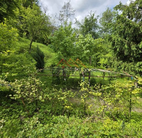 Casa rustica, teren 2000 mp, peisaj de vis, Provita de Jos, Prahova - Poză 13