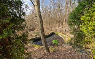 Casa din lemn D+P+M de 400 mp utili si teren 3.000 mp zona Faget - Poză 22