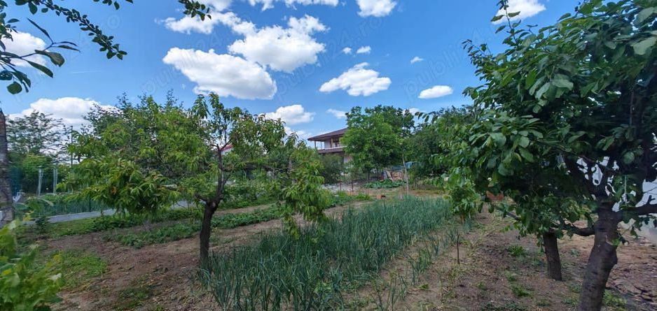 Casa cu 3 camere | Buftea | Toate utilitatile | Langa padure si lac - Poză 4