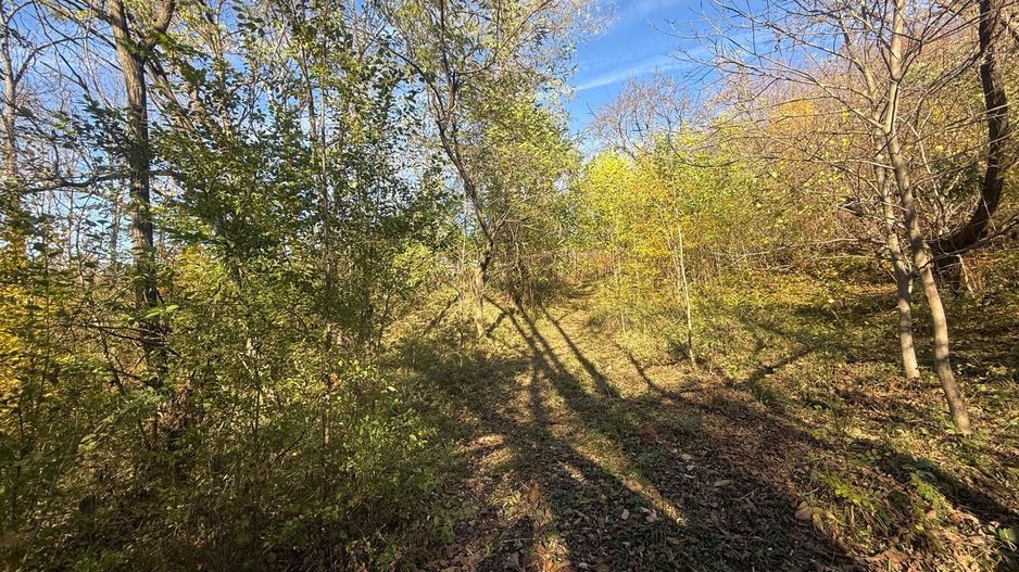 Teren langa pădure 6400mp+casa demolabila-deschidere 35 ml - Poză 8