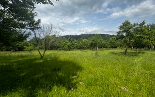 TEREN INTRAVILAN 4600 MP, VOINESTI, LERESTI, ARGEȘ - Poză 14