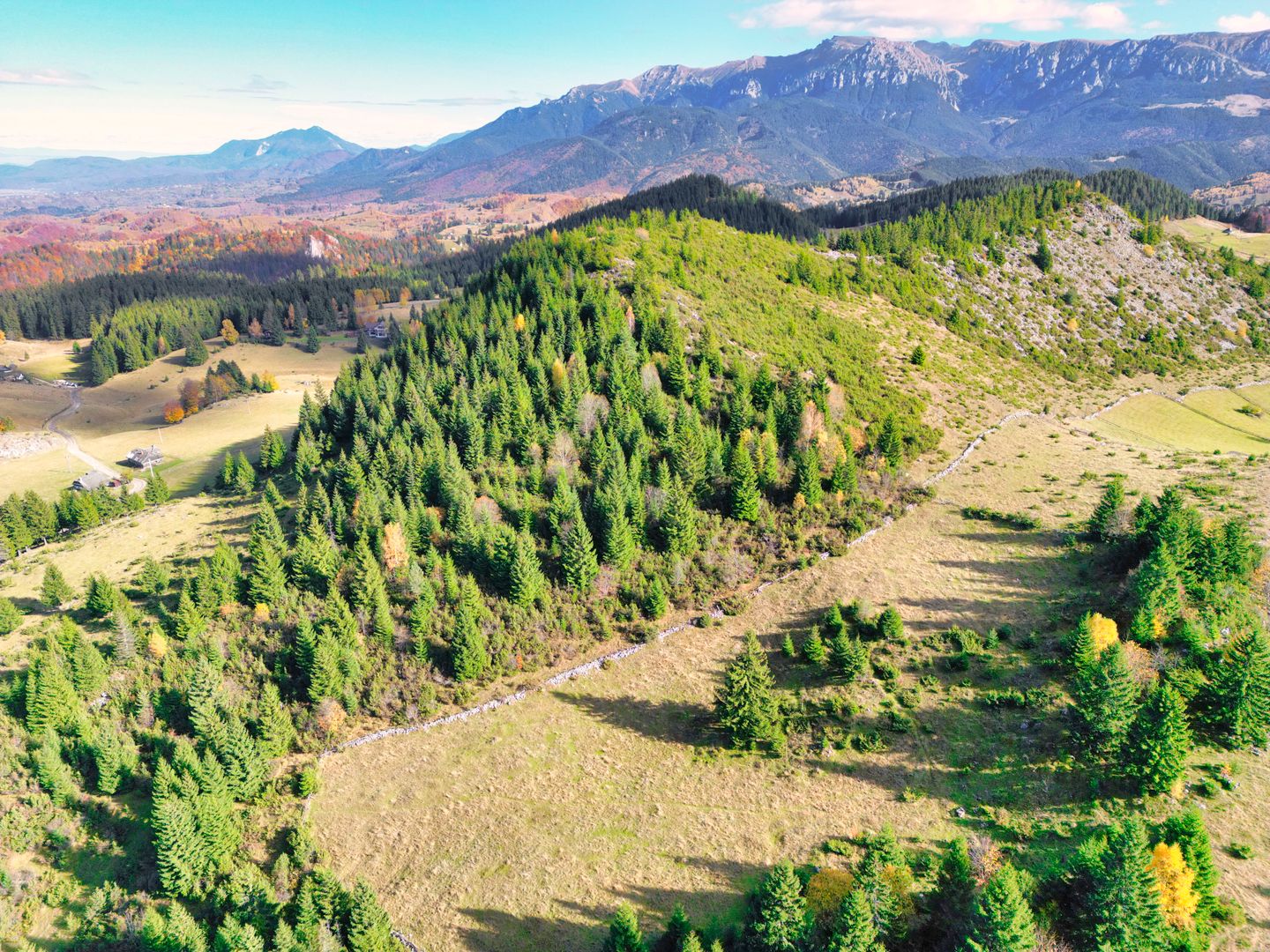 Teren 17590 mp în Fundata, lângă Cheile Grădiștei, Brașov! - Poză 5