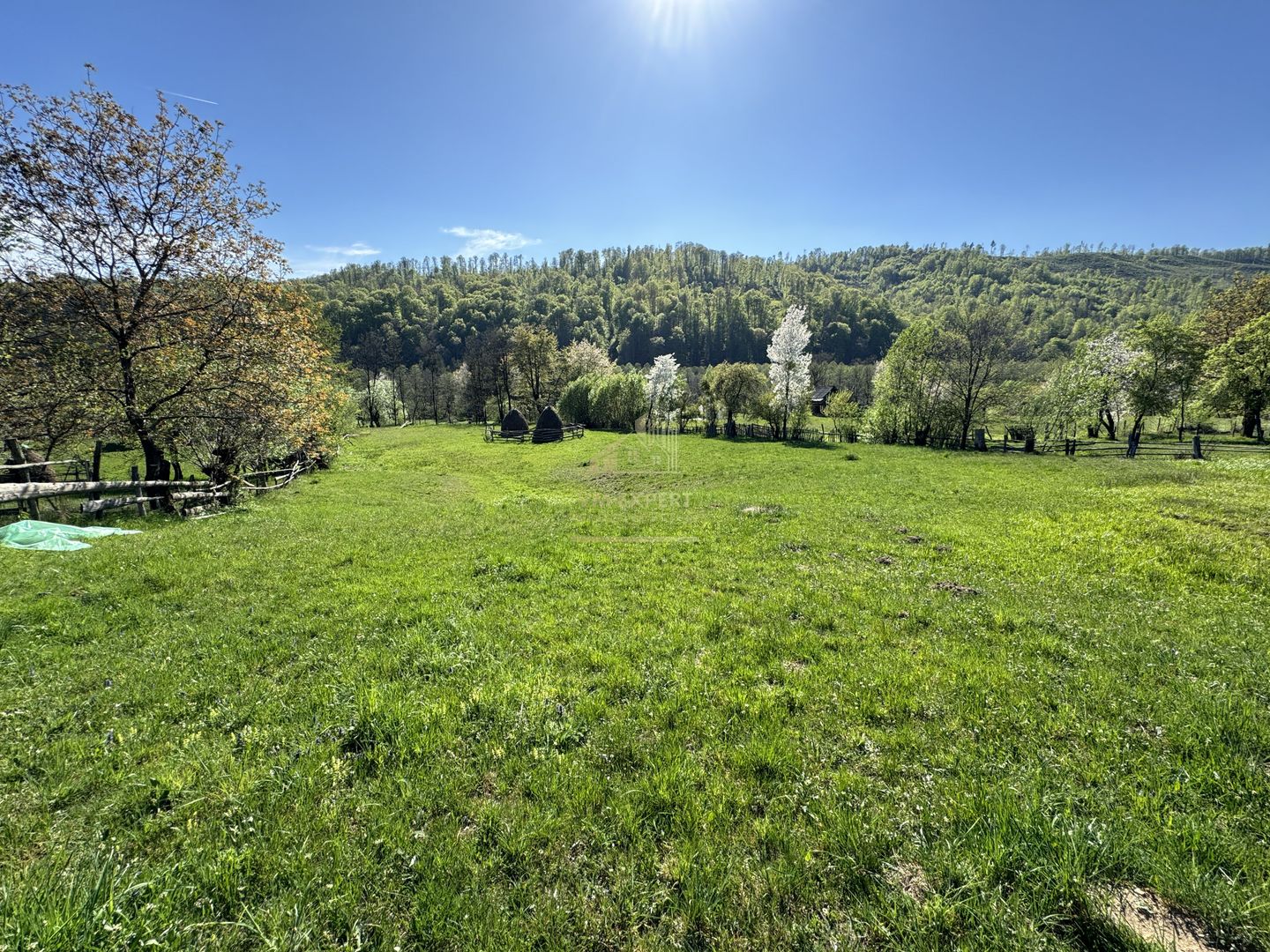 TEREN INTRAVILAN 2592 MP,  ALBESTI DE MUSCEL, ARGES - Poză 10