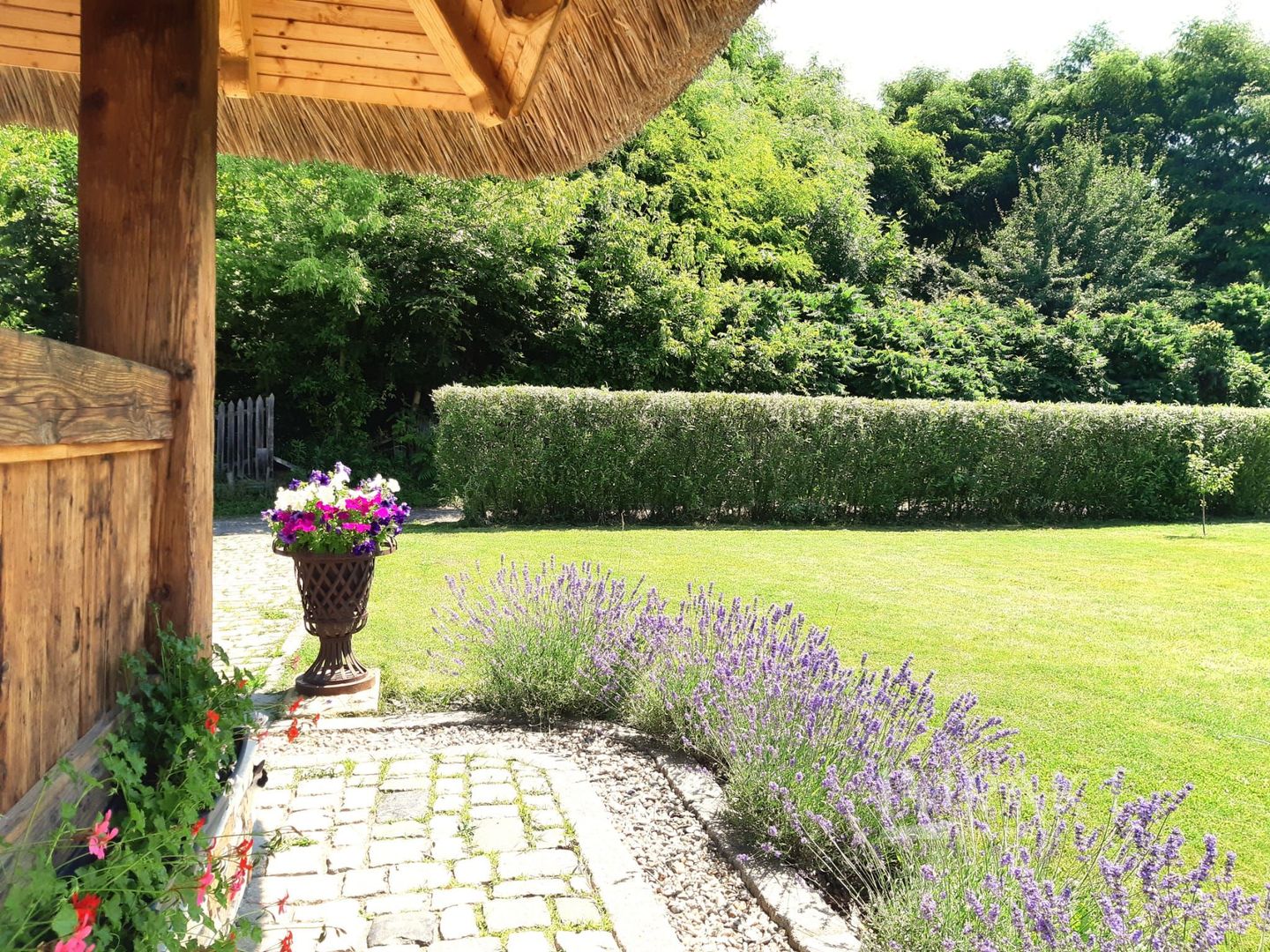 Casa traditionala de vis, aproape de Cluj-Napoca - Poză 6