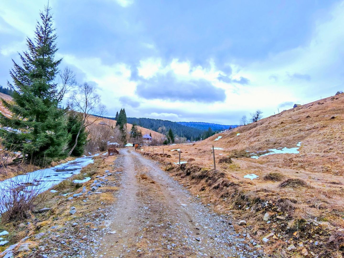 8.263 mp Teren cu Pârâu și Izvoare în Beliș-Fântânele, Cluj - Poză 1