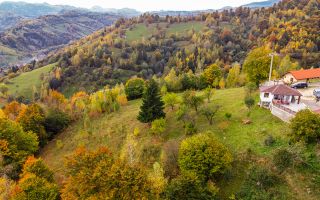 In arena Parcului Natural Piatra Craiului, Magura, Moieciu, Brasov - Poză 7