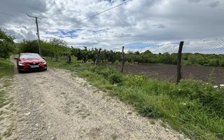 Teren de vânzare în satul Hilița, comuna Costuleni, județul Iași - Poză 3