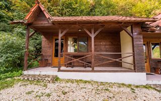 Domeniu în satul Căprioara - Poză 9