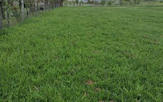 Teren extravilan de vânzare | Rășinari, Tropinii Vechi | 1.127 mp - Poză 1