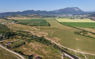 TEREN CU AMPLASAMENT RAR – DIRECT PE MALUL RÂULUI TURCU, ZĂRNEȘTI - Poză 4
