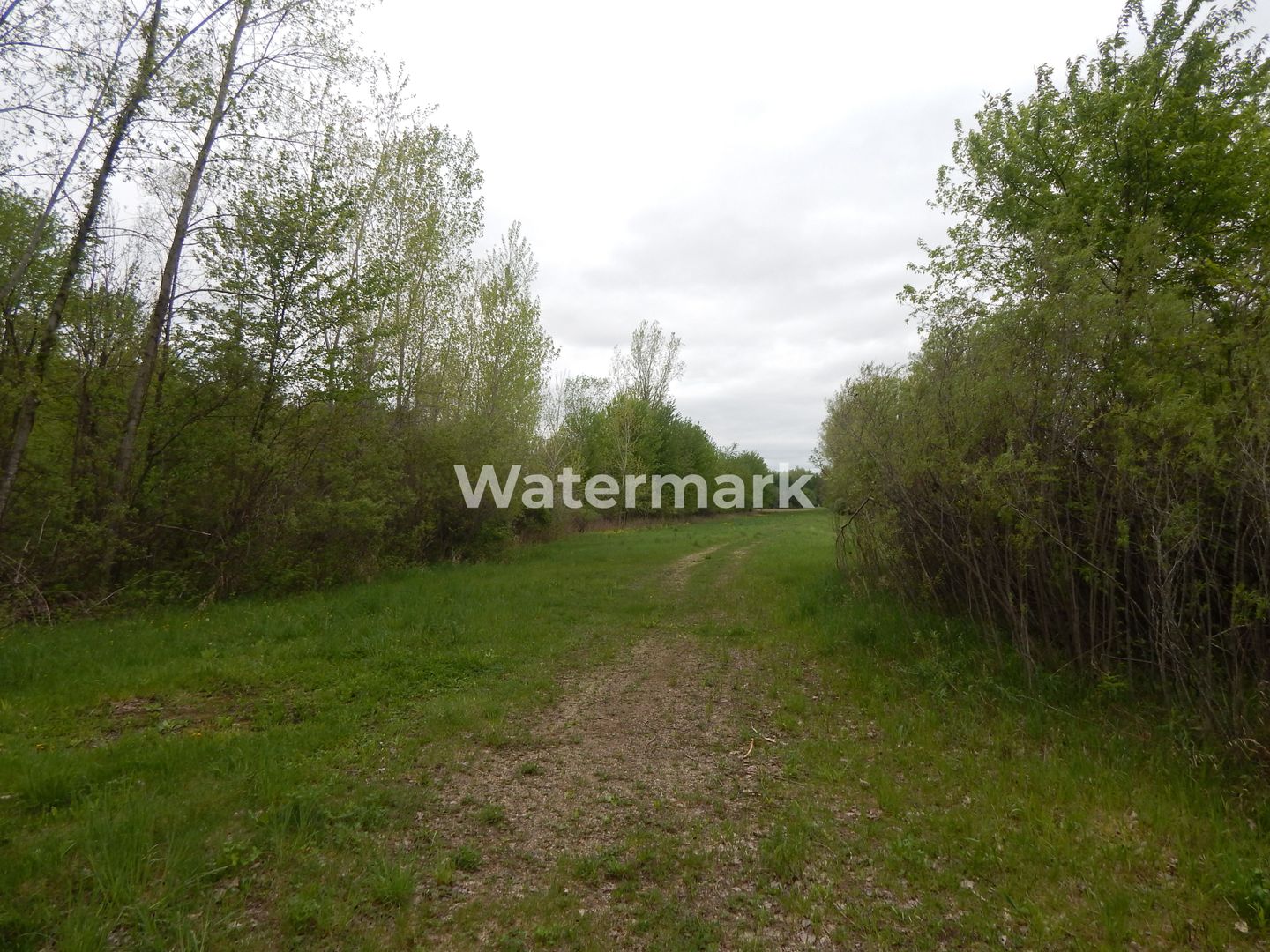 Teren cu PUD de vanzare! Pret excelent! - Poză 2