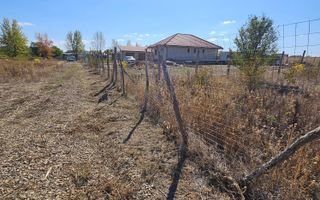 Teren Intravilan Paleu 1025 mp - Poză 2