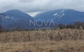 Teren extravilan de vanzare - Arpasul de Sus - Poză 6