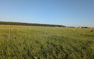 Vanzare Teren Constructii 1000 mp in Pipera Voluntari, - Poză 2