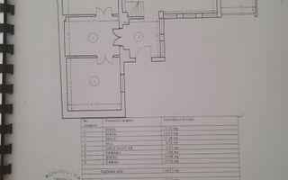 STADIONUL FARUL(COD03) - Vila cocheta si curte frumoasa ! - Poză 19