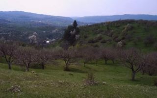 TEREN INTRAVILAN 4030 MP, INTRAVILAN, CAMPULUNG - Poză 2