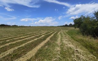Teren de 11.000 mp cu casă și teren agricol | La 40 km de București | - Poză 10
