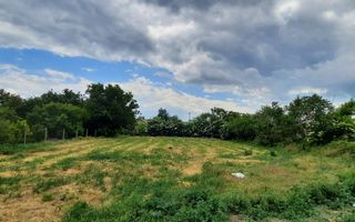 Teren intravilan oportunitate bună în Poarta Albă - Poză 3