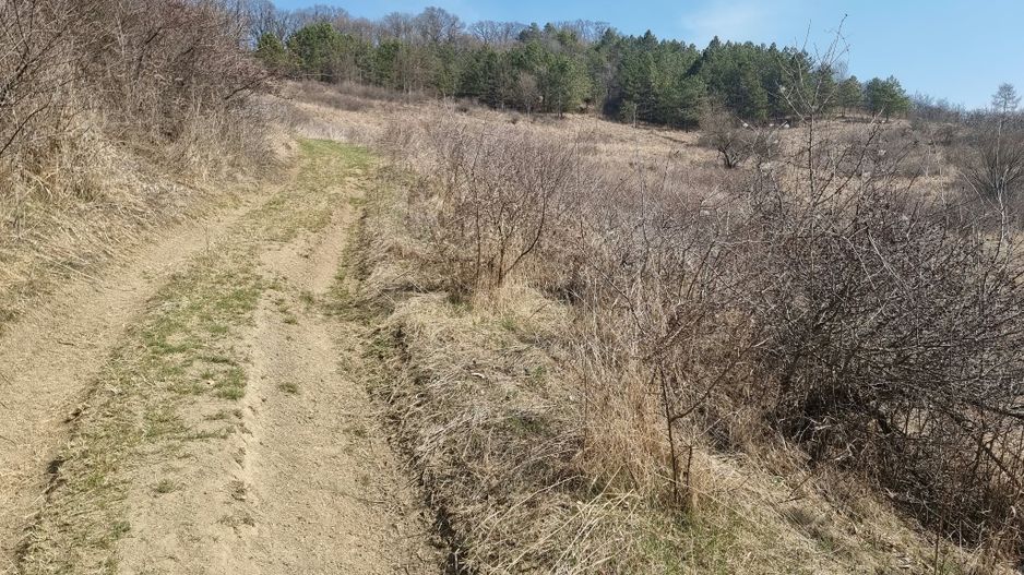 Teren de vanzare in Corunca –5.000 mp /55.000 EUR - Poză 7