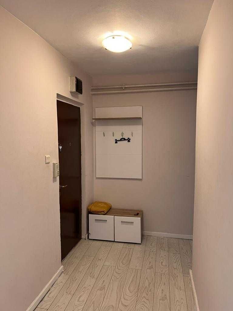 Bd Coposu( Pirvan) Apartament 1 camera - Poză 6