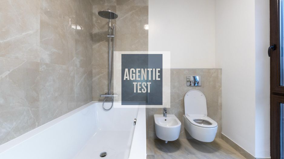 Apartament cu 4 camere de închiriat în zona Alexandru cel Bun - Poză 14