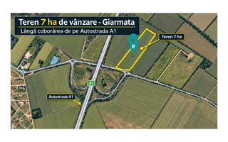 Teren 7 ha Giarmata | lângă A1 - Poză 4