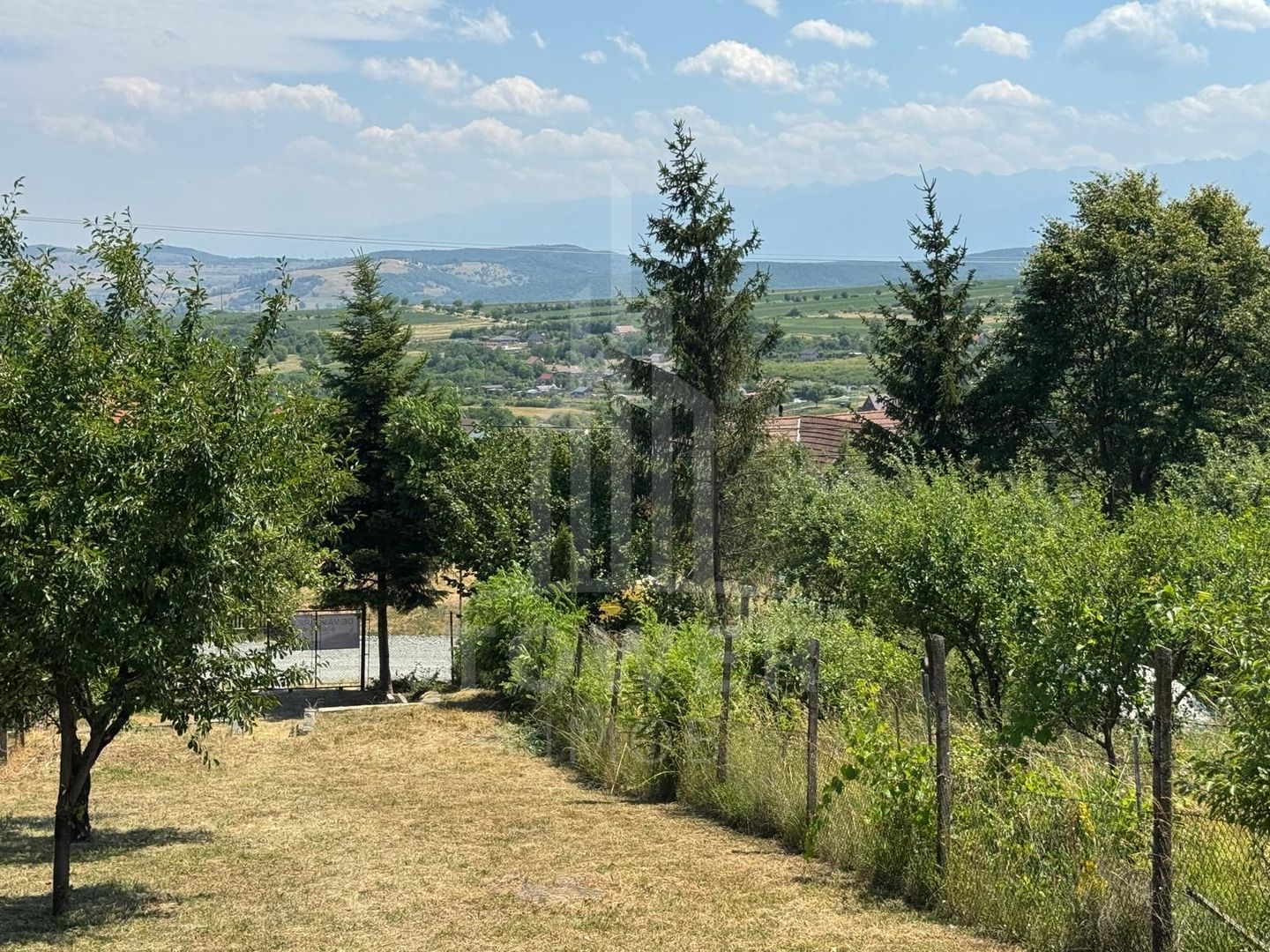 Casa cu 3 camere si teren | 111mp utili 450mp teren | Daia Noua | EXCLUSIVITATE - Poză 8