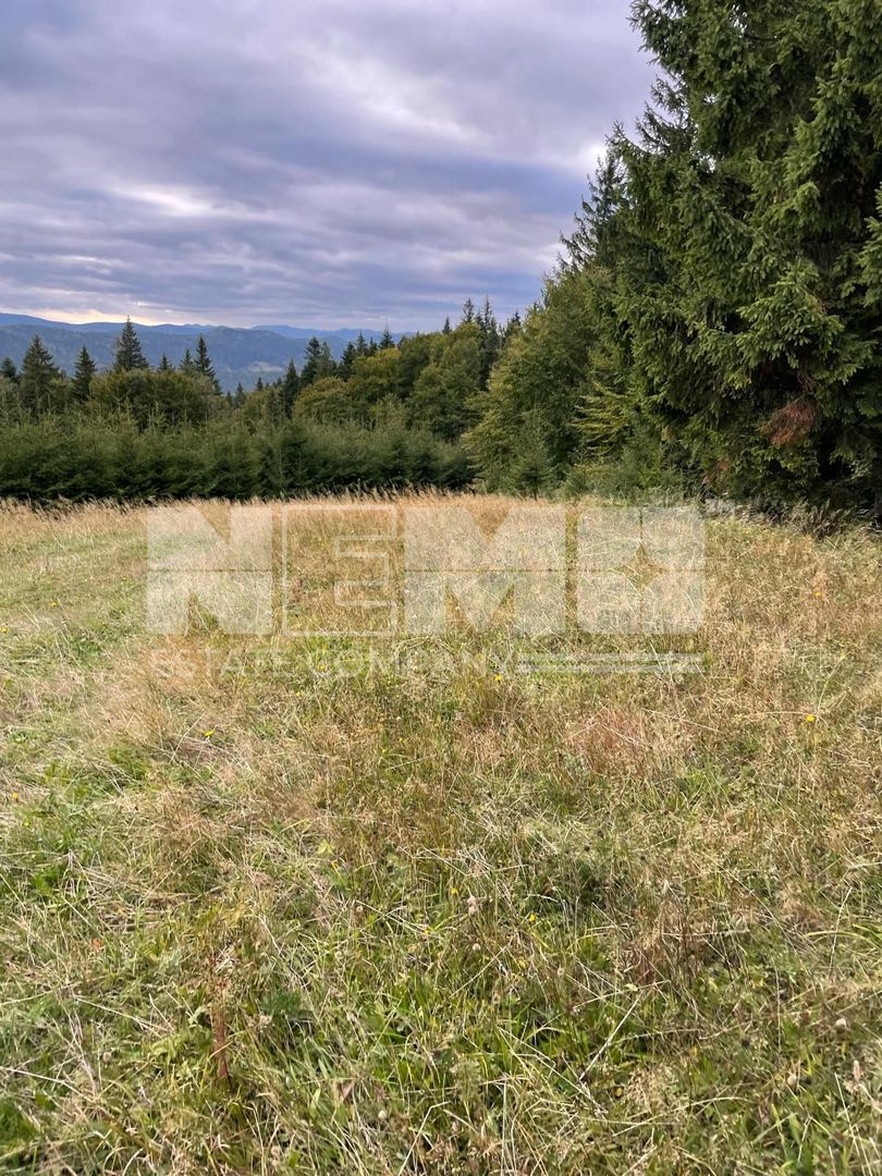 Teren Extravilan | 6.100 mp | Brodina | 41.500 € negociabil - Poză 14