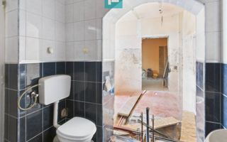 Casă + afacere activă | Venit 1100€/lună - Poză 10