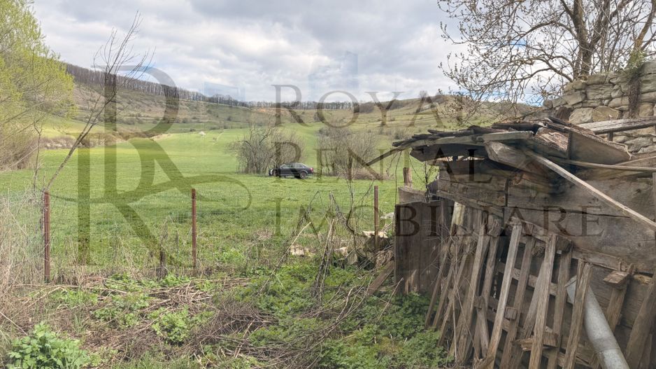 Comision 0! | Casă + teren generos | 2600 m² | Oportunitate unică - Faureni - Poză 29