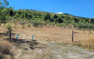 TEREN 5000 MP I SĂLIȘTE I PARCELABIL - Poză 10