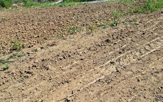 Teren de vânzare în satul Goruni, cu acces la utilități și drum asfaltat - Poză 1