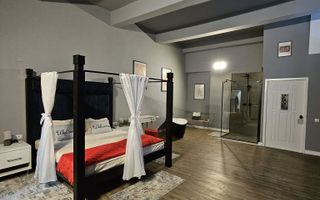 Garsoniera regim hotelier sau spatiu comercial 46 mp utili Terezian - Poză 3
