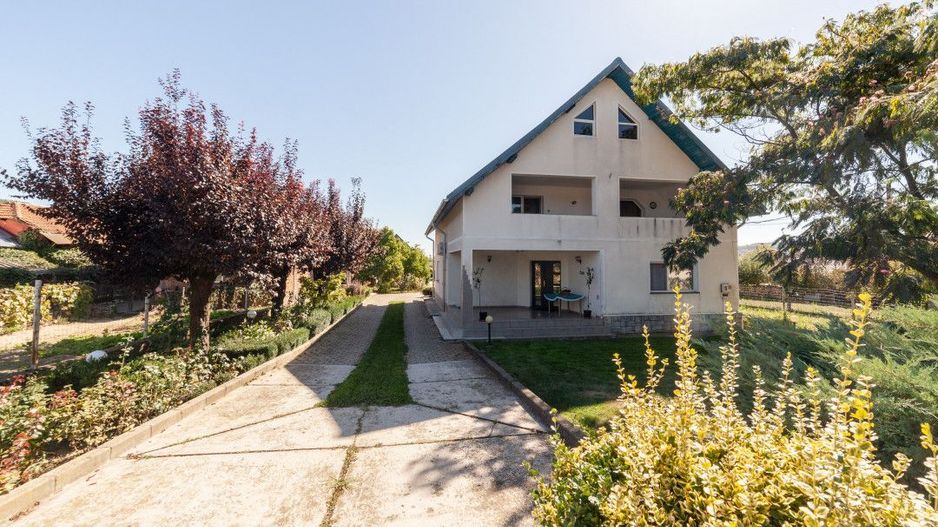 Casa visurilor cu 4000 mp livada roditoare si gradina Darmanesti-Arges - Poză 24