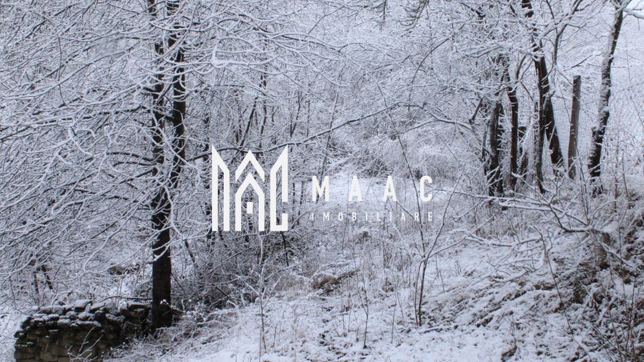 Teren cu izvor de apă minerală  Dangești, Punctul Valea Mare - Poză 25