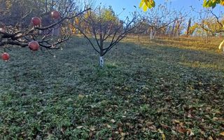 Teren intravilan 3000 mp - Corunca - Poză 9