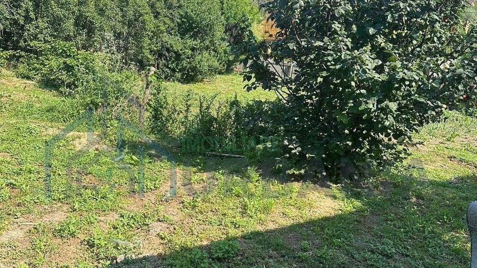 Casă tradițională cu anexă, beci și teren de 5700 mp, deschidere la drum principal, învecinată cu pădurea Bârnova, localitatea Pădureni, com. Grajduri, la 19 km de Iași - Poză 7